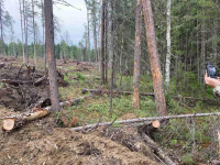 ������ ������� ������������� � ���������� ����� ������ ���������� � ��������� ������